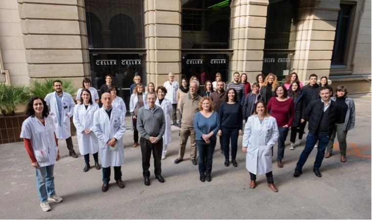 Grupo de Imagen Avanzada en Enfermedades Neuroinmunológicas (ImaginEM)